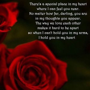 Meet your Posher, Alexander